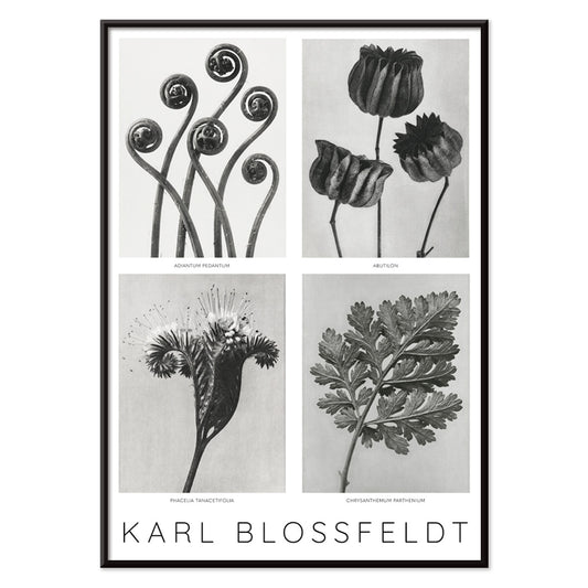 , with black aluminium frame on white background