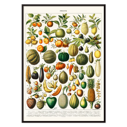 Vintage illustration poster of diverse fruits and vegetables from Nouveau Larousse Illustre by Larousse Pierre Auge Claude, with black aluminium frame on white background