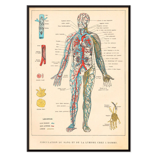 , with black aluminium frame on white background