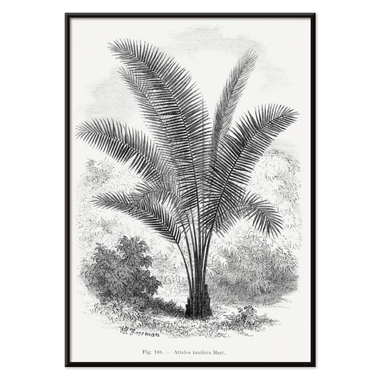, with black aluminium frame on white background