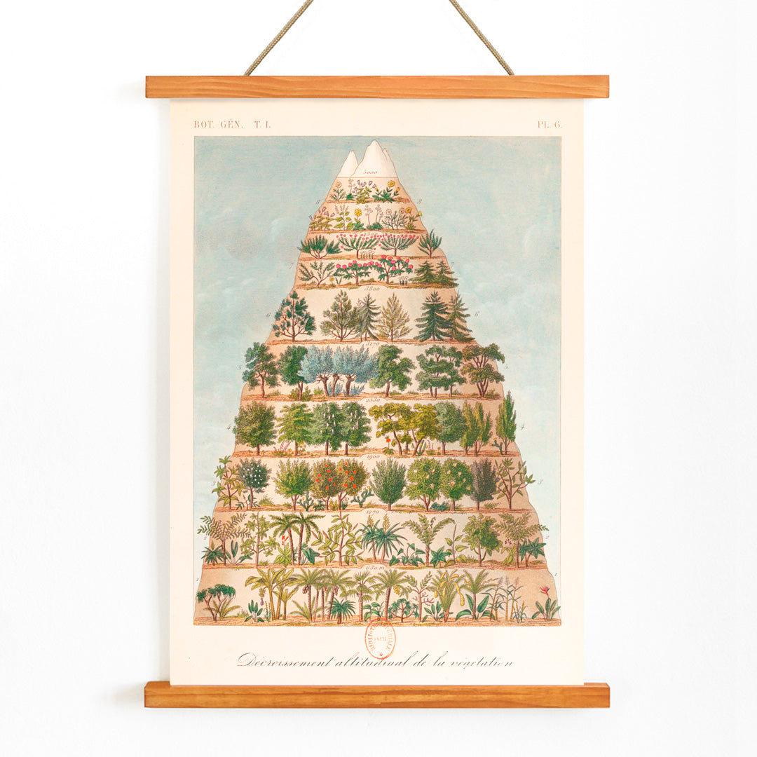 , with wooden magnetic frame on white background