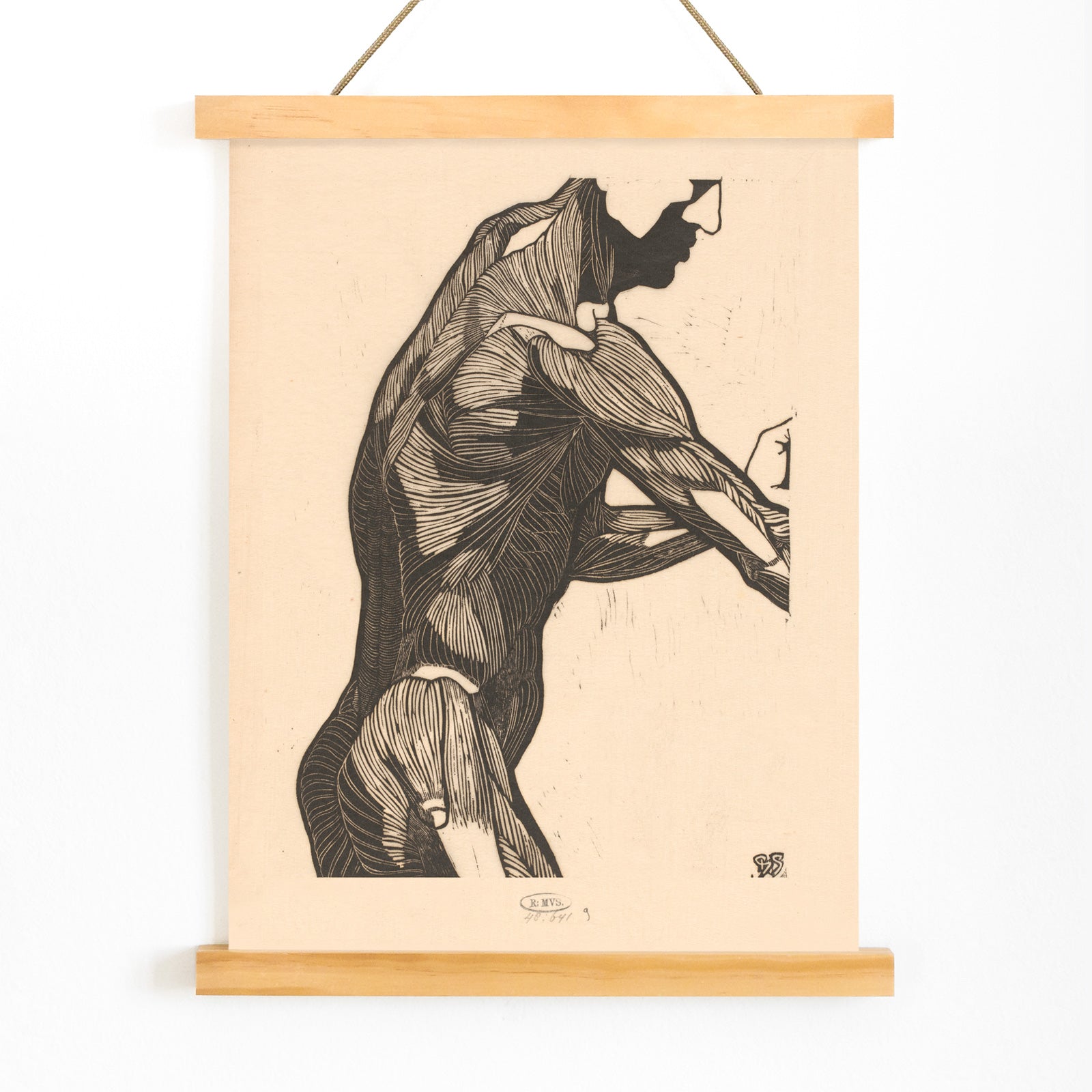 Anatomical poster of mans side and arm showing detailed muscle structure artwork by Reijer Stolk, with wooden magnetic frame on white background