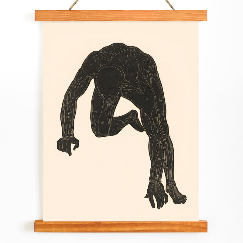 Anatomical illustration of human muscular anatomy and crouching figure from Neck Muscles by Reijer Stolk, with wooden magnetic frame on white background