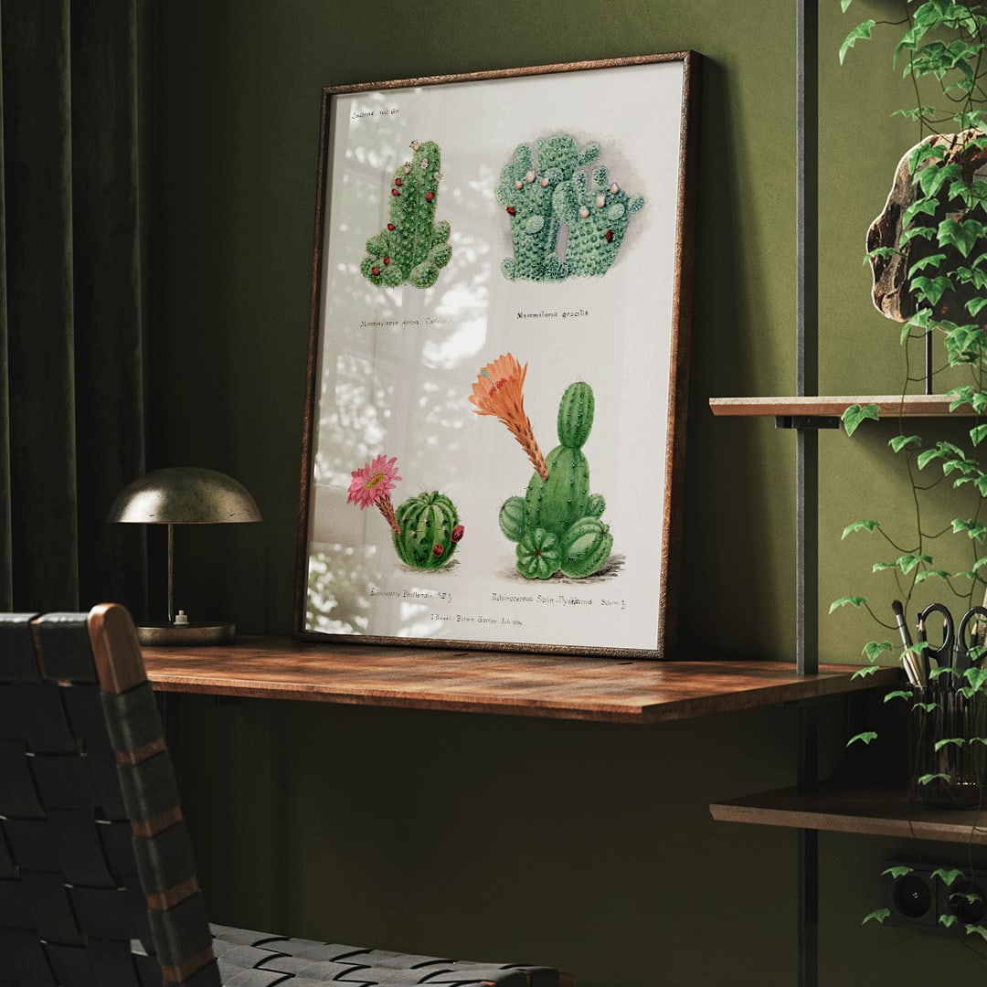 Closeup detail of Assorted cacti illustration and poster by Familie Der Cacteen showing different cactus species with flowers