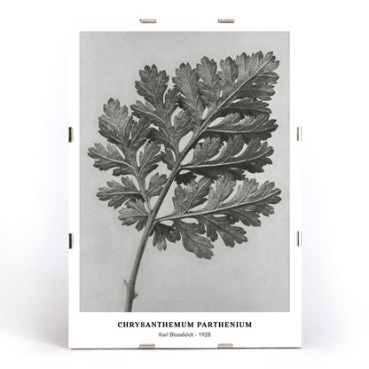 , framed and displayed in modern living room decor