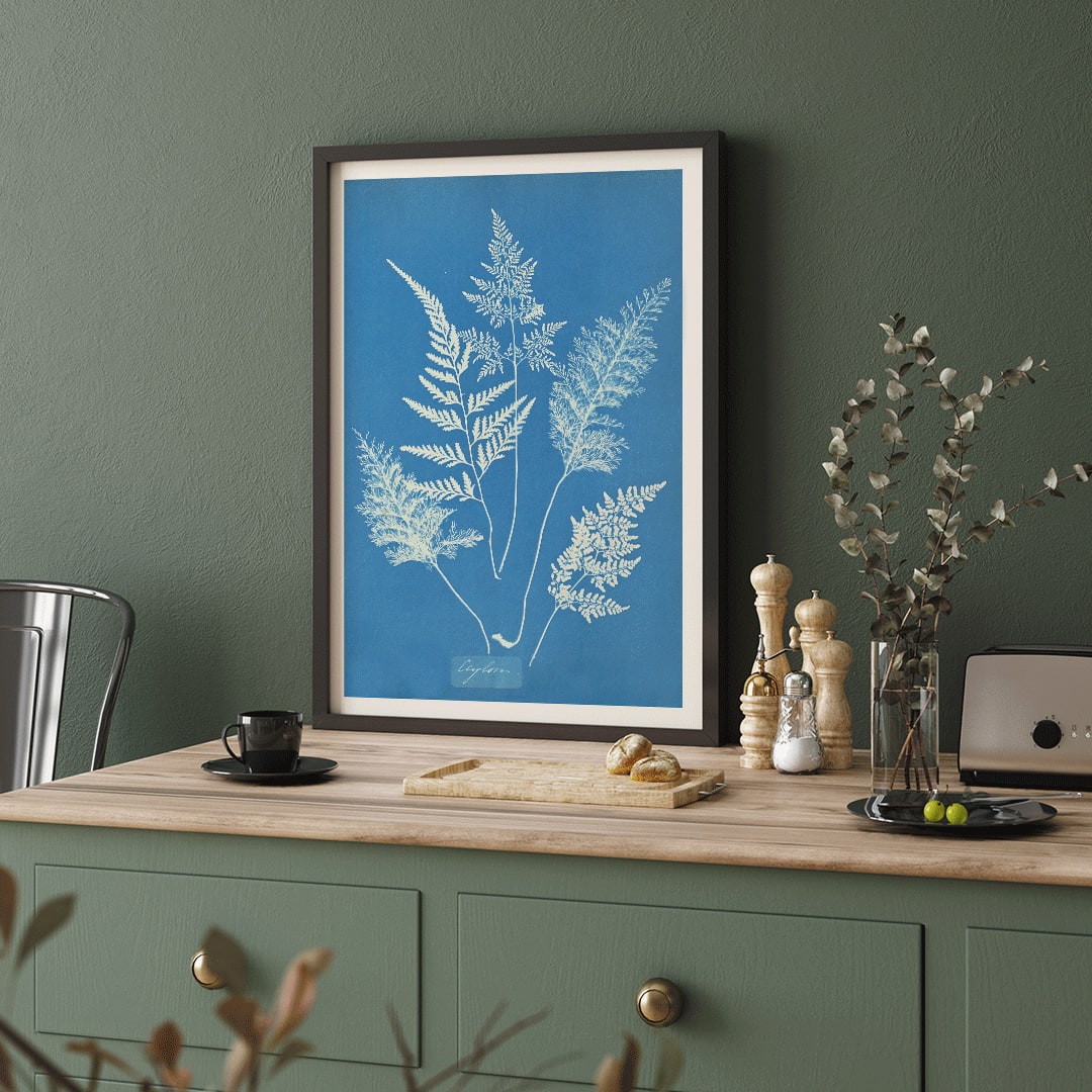Botanical cyanotype art print titled Ceylon by Anna Atkins featuring delicate white fern leaves on a blue background, framed and displayed in home decor
