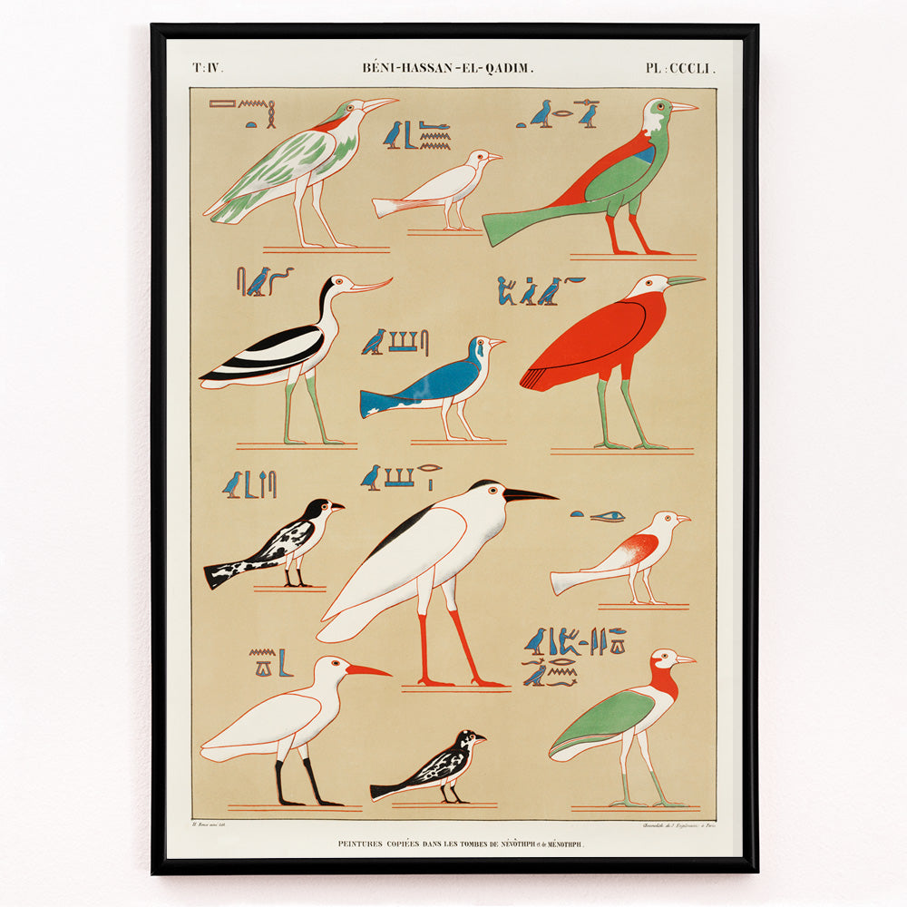 Closeup detail of Colorful ancient Egyptian birds illustration poster inspired by paintings from the tombs of Nevoethph and Menothph by Jean Francois Champollion