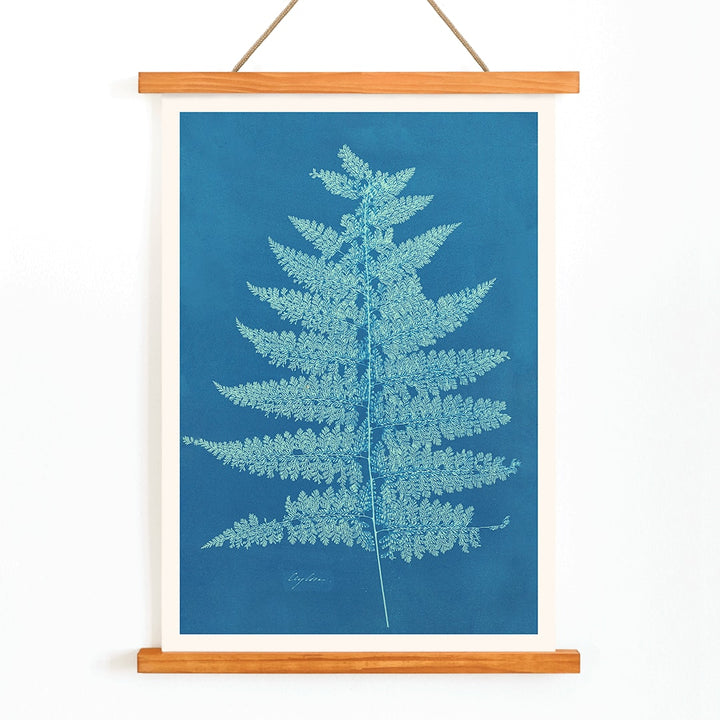 Fern Cianotipia botanical cyanotype artwork by Anna Atkins showing a detailed fern against a blue background poster, with wooden magnetic frame on white background