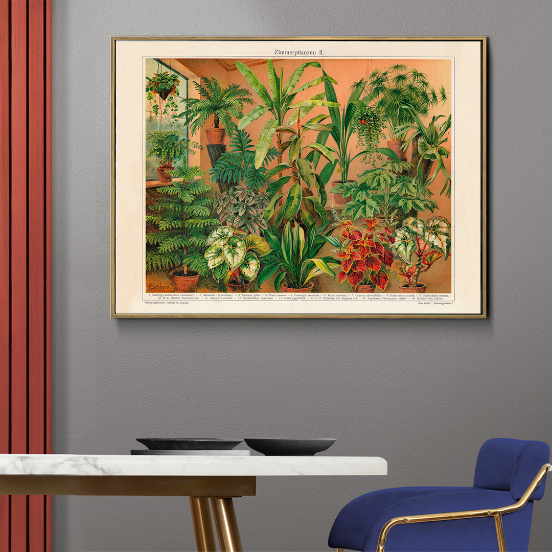 Colorful indoor foliage and potted green plants poster titled House Plants II by Institute of Liepzig featuring various house plants in pots against a warm background, framed and displayed in home decor