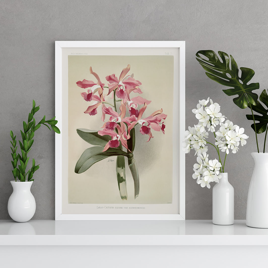 , framed and displayed in home decor
