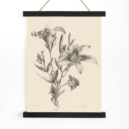 Detailed black and white botanical illustration of two lilies by Anton Weiss titled Two black and white lilies poster, with wooden magnetic frame on white background