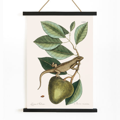 , with wooden magnetic frame on white background