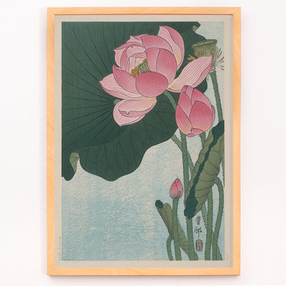 Closeup detail of Pink lotus flowers and green leaves in Japanese woodblock print poster by Ohara Koson with light blue background