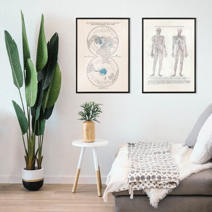 Vintage polar regions and glacier map illustrated artwork of Earth poles by Bibliographic institute of Liepzig, framed and displayed in home decor