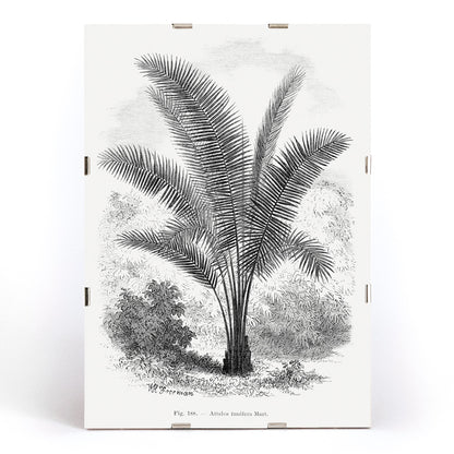 , framed and displayed in modern living room decor