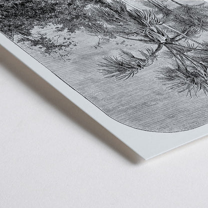 Closeup detail of Palm trees in tropical forest illustration poster by Oswald de Kerchove de Denterghem Les Palmiers Histoire Iconographique