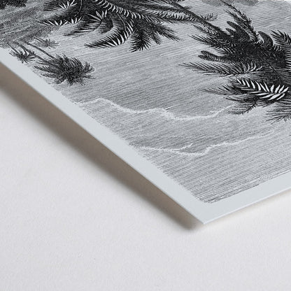 Closeup detail of Black and white illustration of palm trees by Oswald de Kerchove de Denterghem from Les Palmiers Histoire Iconographique poster