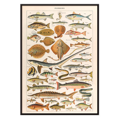 , with black aluminium frame on white background