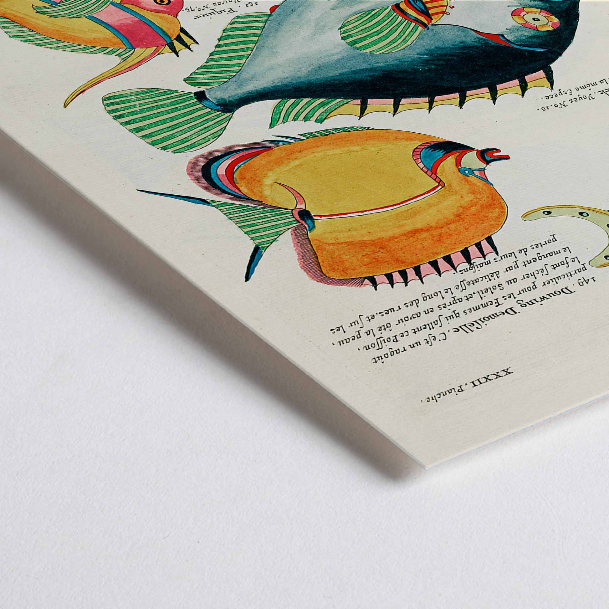 Closeup detail of Colorful surreal fish illustrations from Histoire naturelle des plus rares curiositez by Louis Renard featuring exotic marine life of Moluccas and East Indies poster