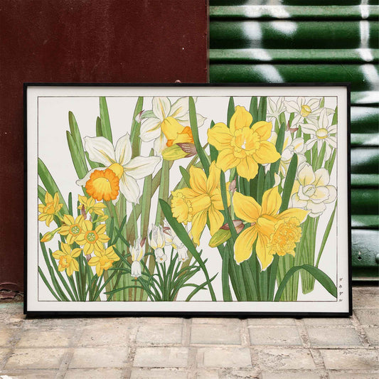 Daffodil woodblock painting by Tanigami Konan vibrant yellow and white floral artwork poster, framed and displayed in home decor