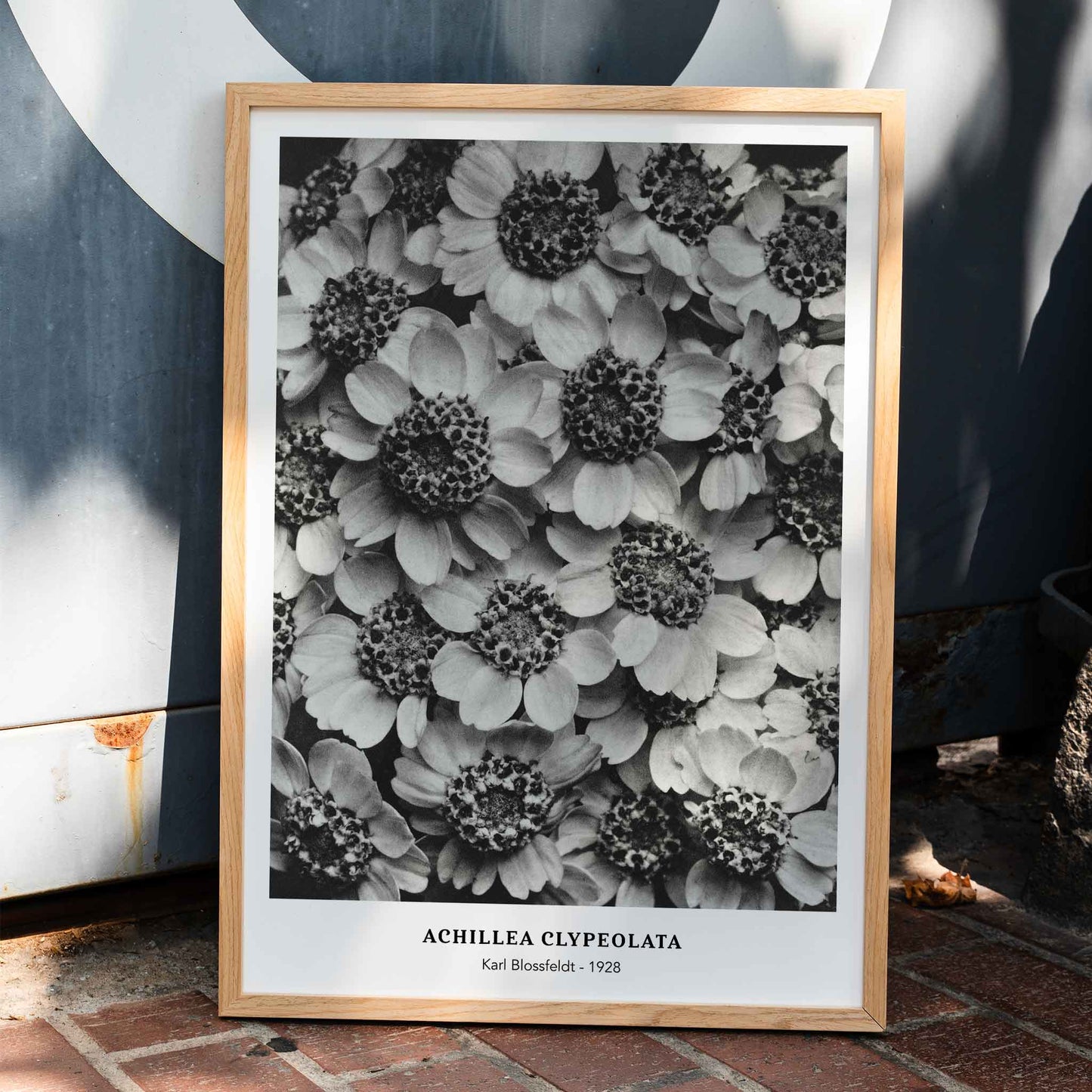 , framed and displayed in home decor