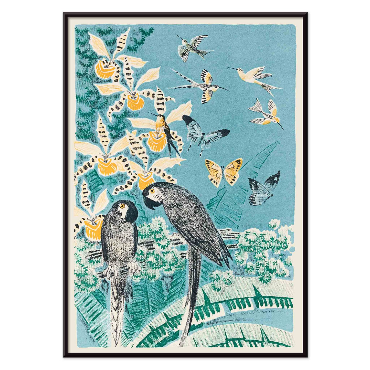 Colorful parrots butterflies and birds in a lush tropical garden illustration from Douze contes de Paris et de Provence by Paul Arène, with black aluminium frame on white background