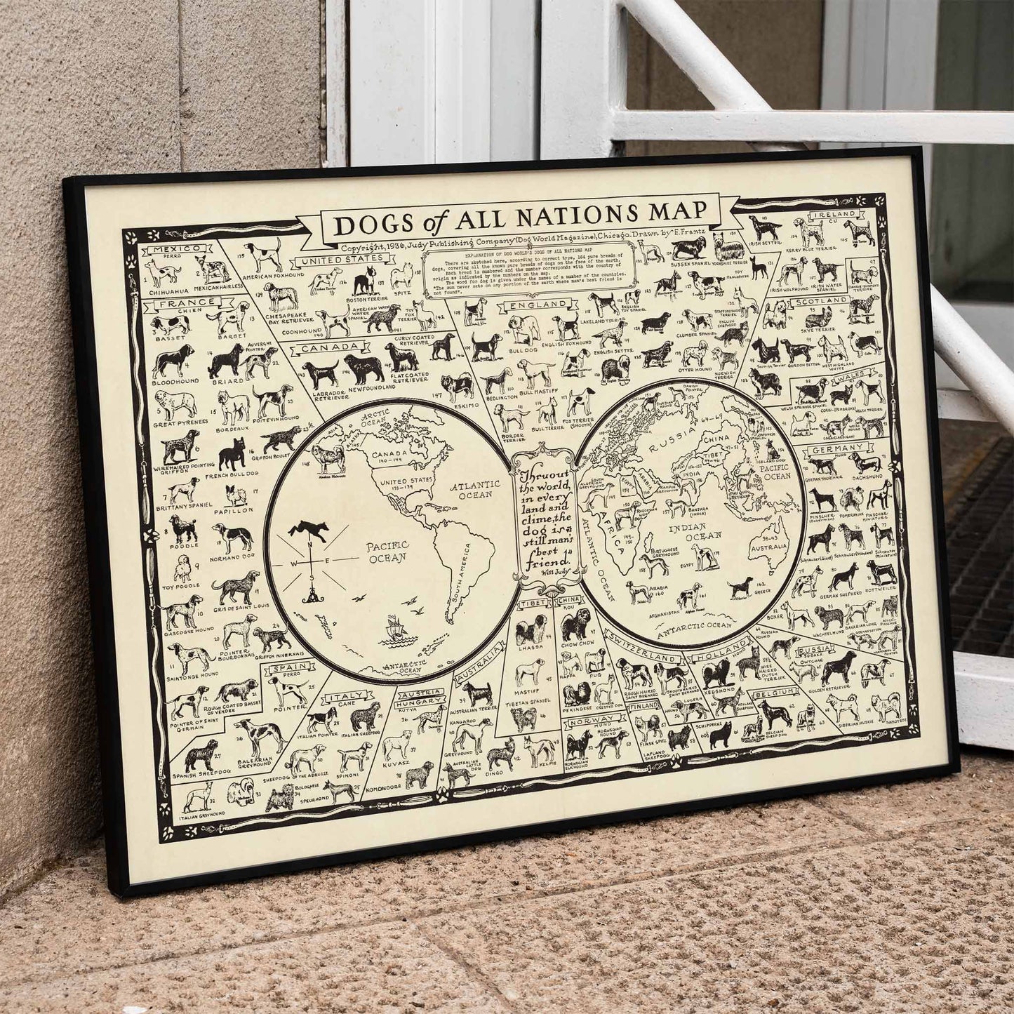 Dogs of All Nations Map by Frantz E illustrated poster featuring various dog breeds from around the world, framed and displayed in home decor