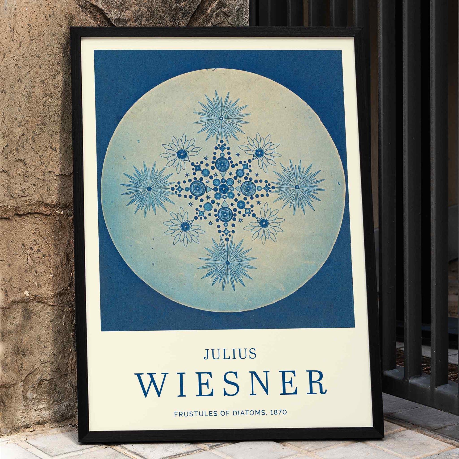 Frustules of Diatoms cyanotype artwork and poster by Julius Wiesner featuring intricate blue diatom designs on a circular background, framed and displayed in home decor