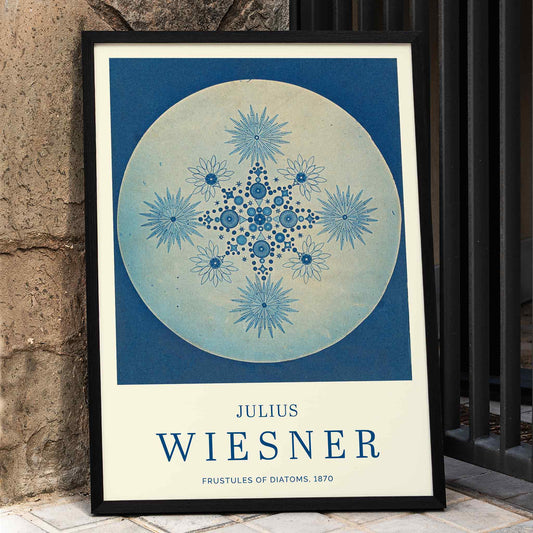 Frustules of Diatoms cyanotype artwork and poster by Julius Wiesner featuring intricate blue diatom designs on a circular background, framed and displayed in home decor