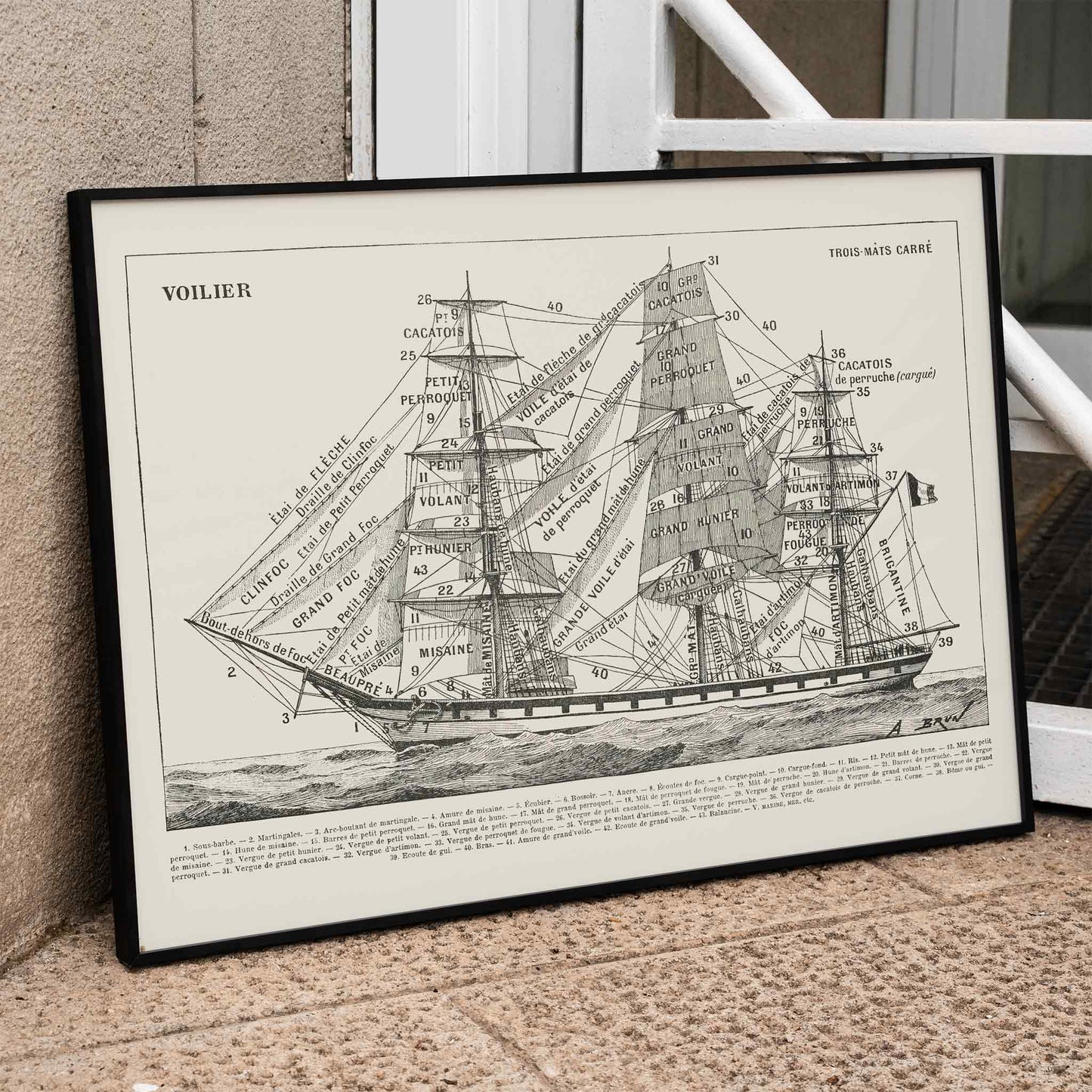 Detailed illustration and labeled poster of a sailing ship by Claude Auge titled Voilier from Le Larousse pour tous, framed and displayed in home decor