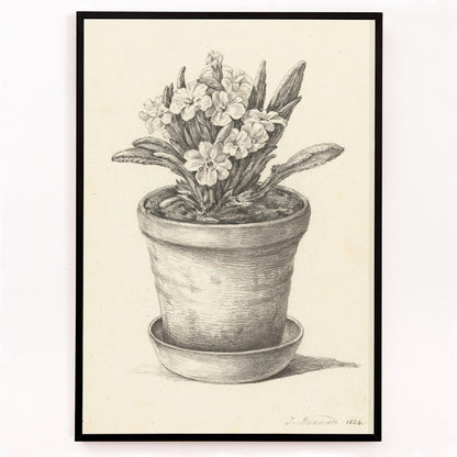 Closeup detail of Black and white pencil drawing poster of a flowering plant in a clay pot titled Potplant by Jean Bernard