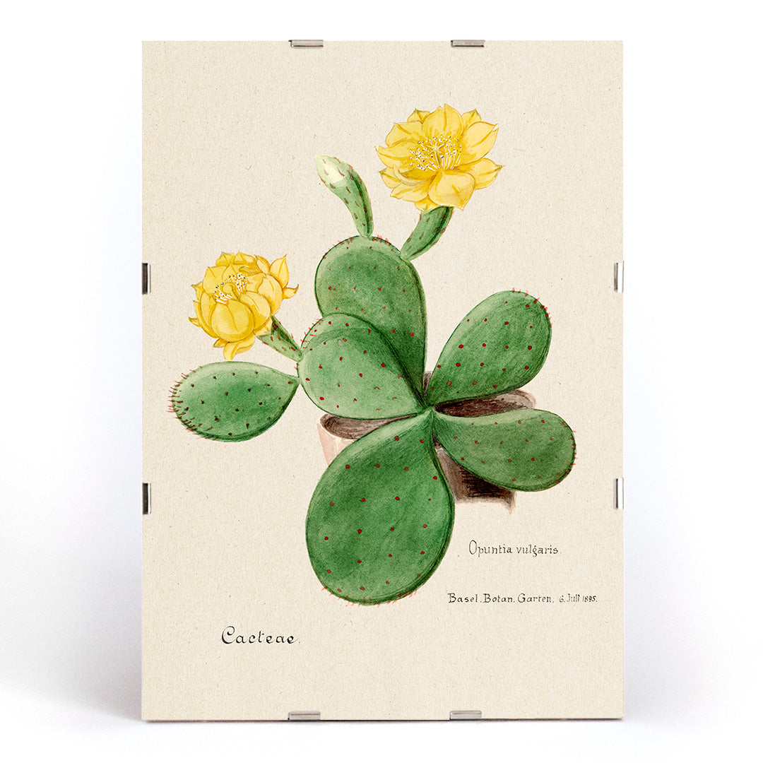 , framed and displayed in modern living room decor