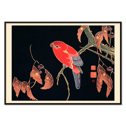 Vibrant red parrot perched on a tree branch artwork by Ito Jakuchu showcasing intricate details and colors poster, with black aluminium frame on white background
