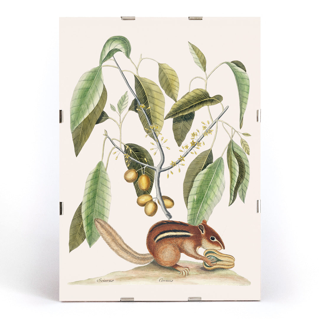 , framed and displayed in modern living room decor