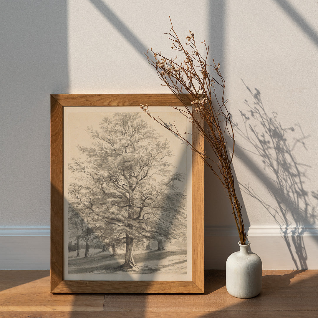 Detailed drawing of a large tree in a sunlit natural landscape titled Big Tree by Cornelis Steffelaar poster, framed and displayed in home decor
