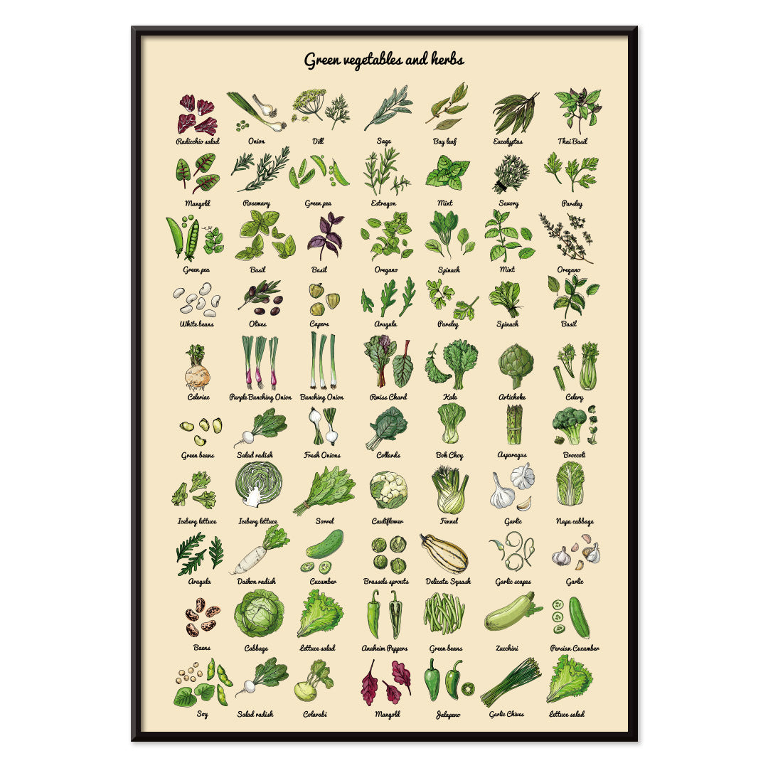 , with black aluminium frame on white background