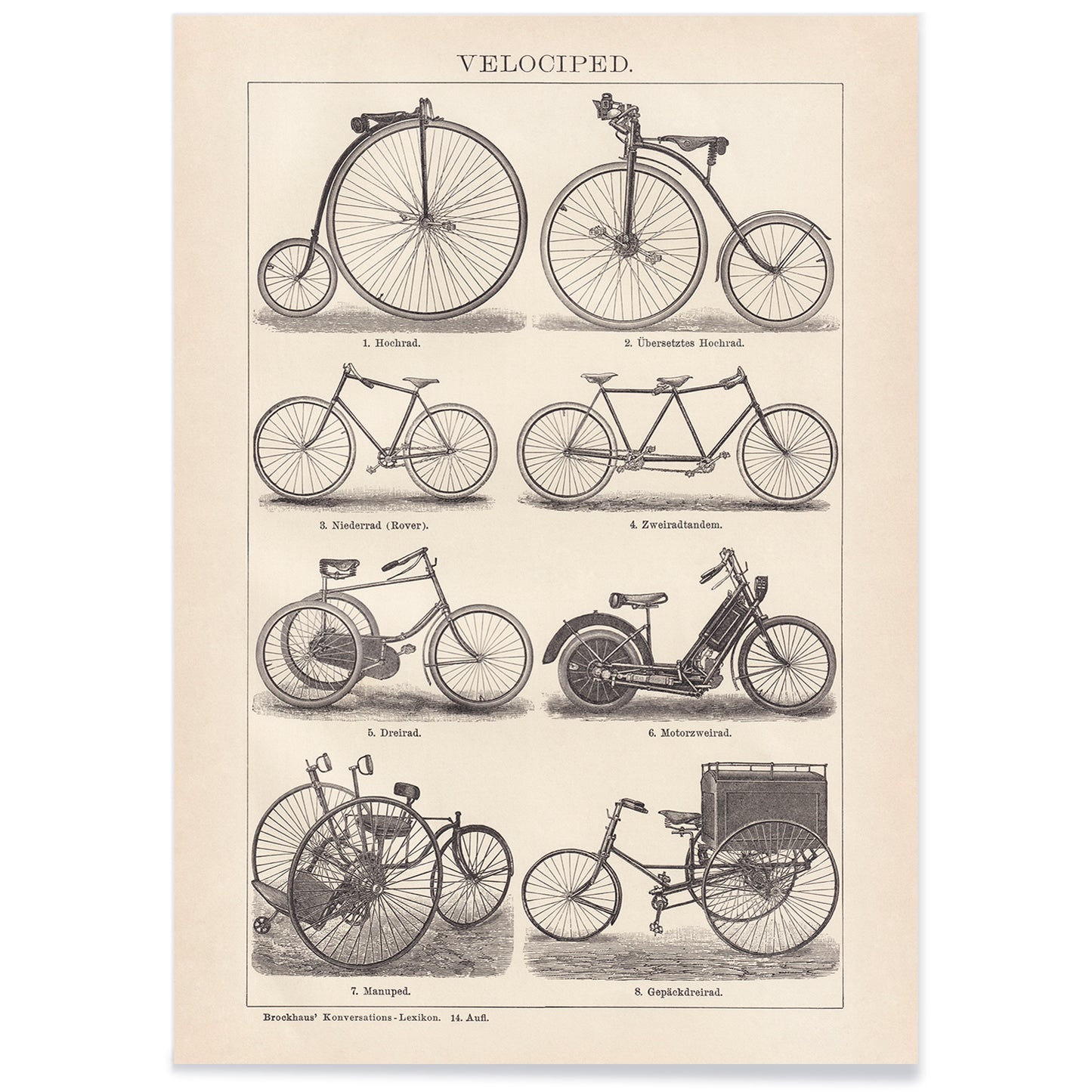 Vintage bicycle types and illustrations by Bibliographic institute of Liepzig Velociped with labeled bike types, with black aluminium frame on white background